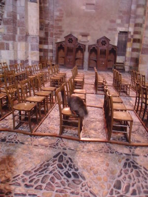 Exkursion2011_104.JPG