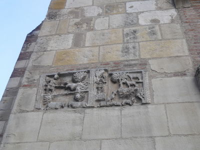 Exkursion2011_238.JPG