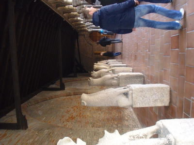 Exkursion2011_298.JPG