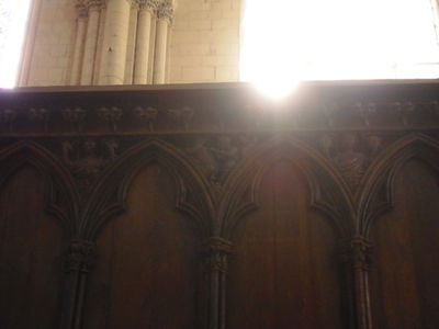 Exkursion2011_632.JPG