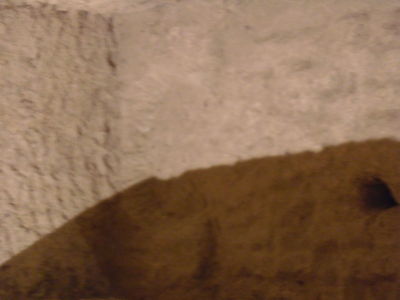 Exkursion2011_692.JPG