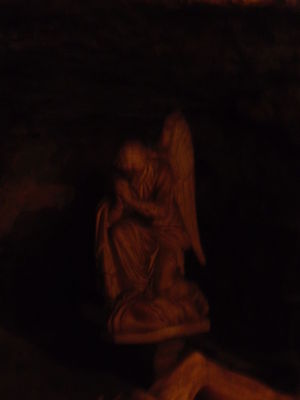 Exkursion2011_726.JPG