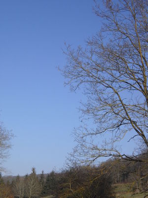 Exkursion2011_825.JPG