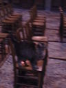 Exkursion2011_103.JPG