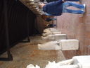 Exkursion2011_298.JPG