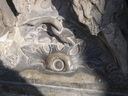Exkursion2011_385.JPG