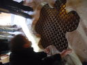 Exkursion2011_702.JPG
