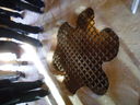 Exkursion2011_703.JPG